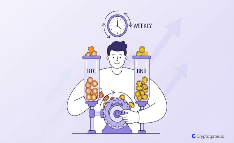 BNBBTC Weekly Rebalancing Strategy Explained