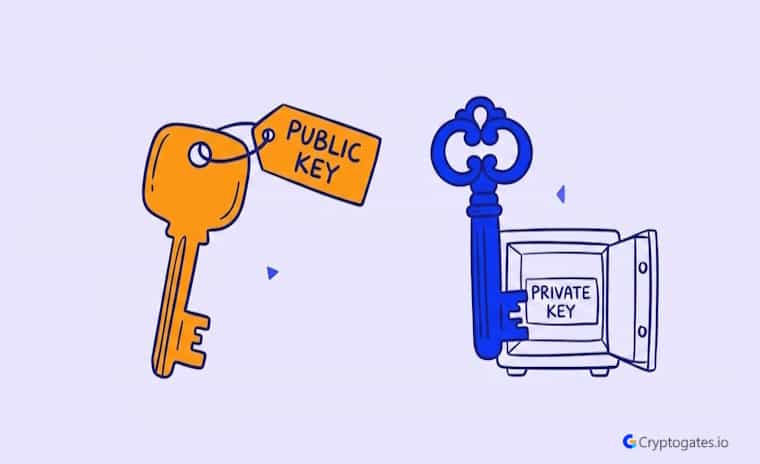Public Key vs Private Key