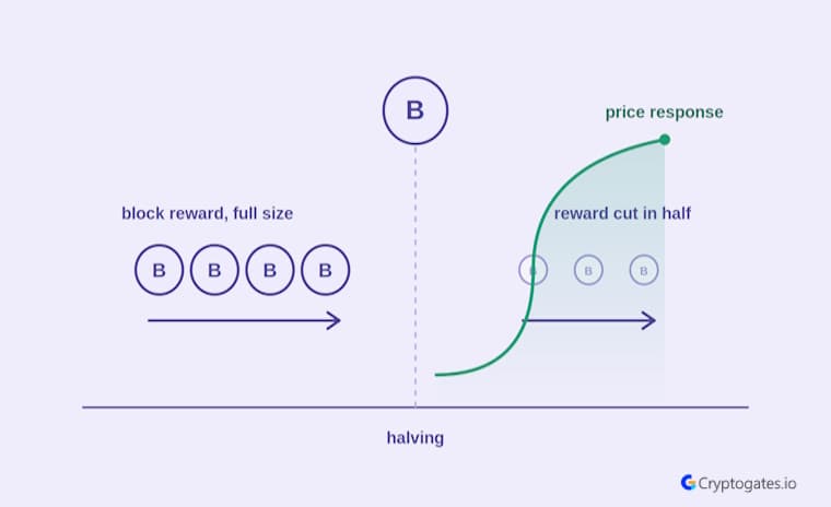 Bitcoin Halving Explained Price Impact, History & What's Next